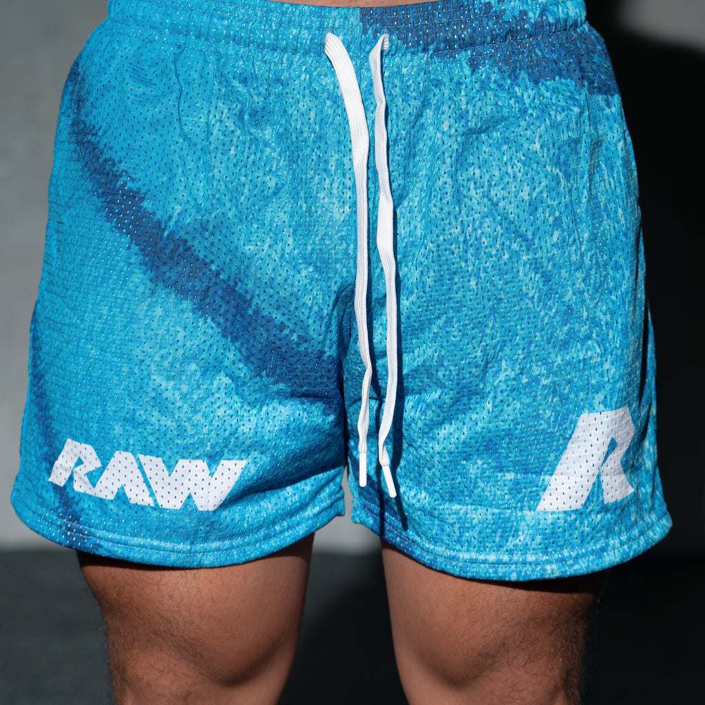 5in Mesh Shorts